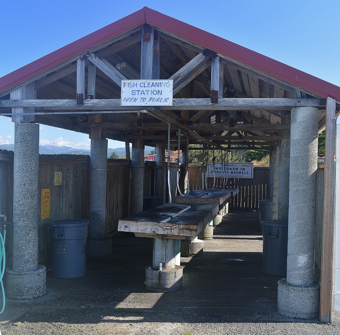 fish cleaning table